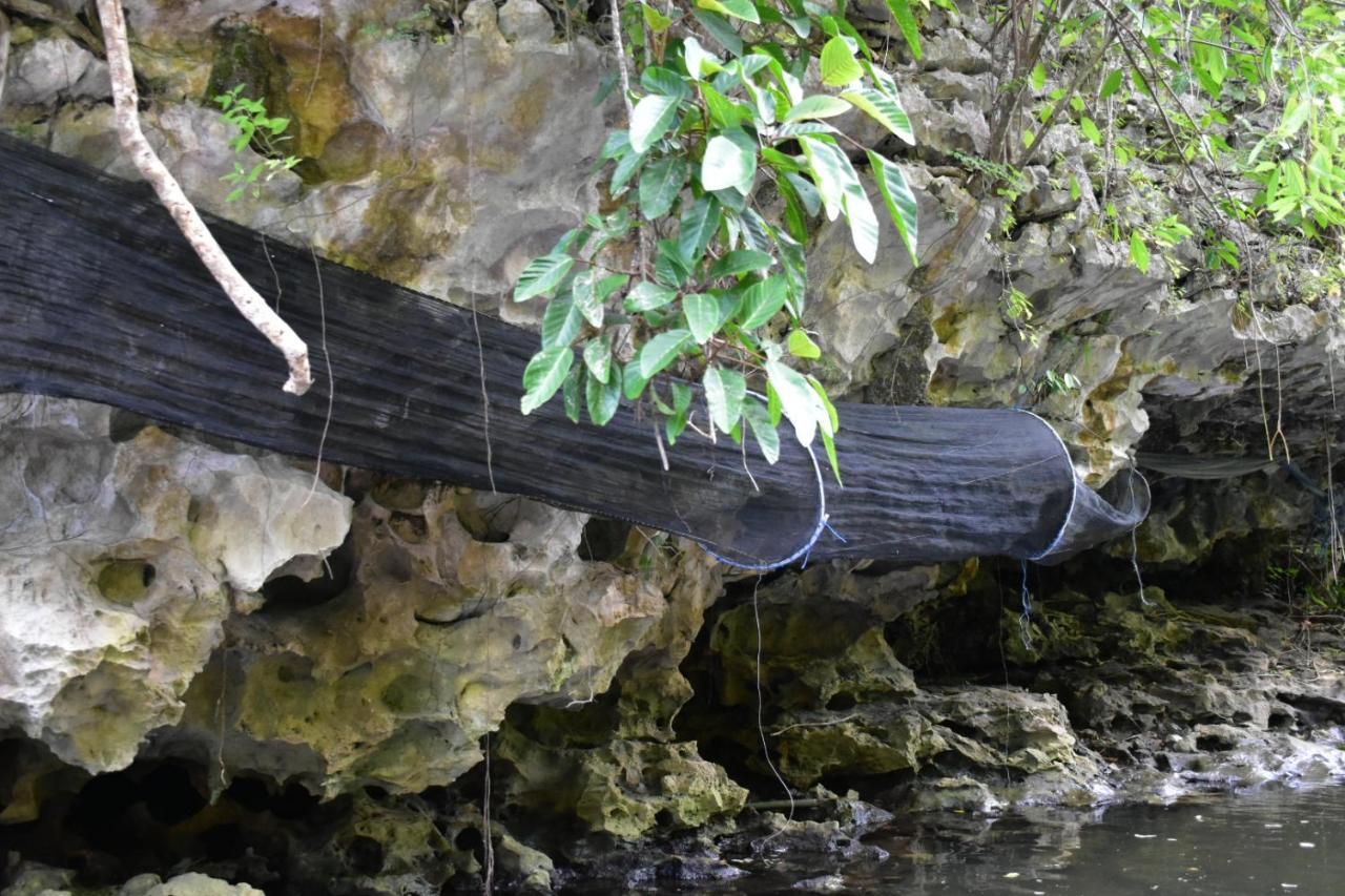 Gasthaus Kampoeng Karst Rammang Rammang Kasijala Exterior foto