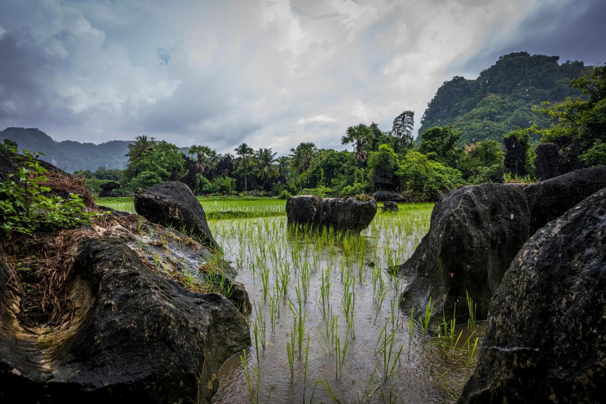Gasthaus Kampoeng Karst Rammang Rammang Kasijala Exterior foto